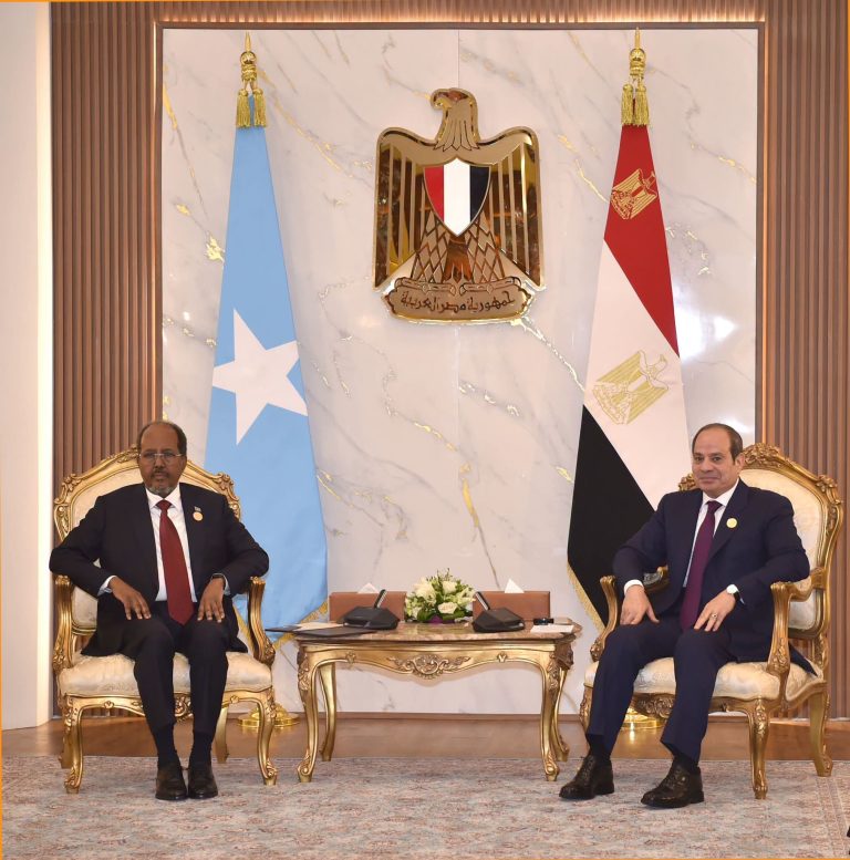 السيسى ورئيس دولة الصومال