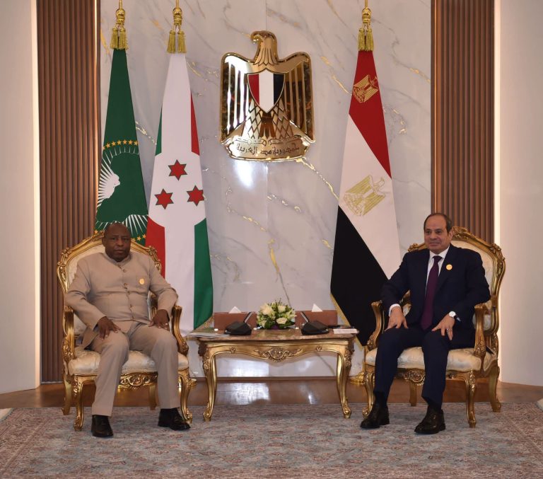 استقبل الرئيس عبد الفتاح السيسي إيفاريست ندايشيمي، رئيس جمهورية بوروندي