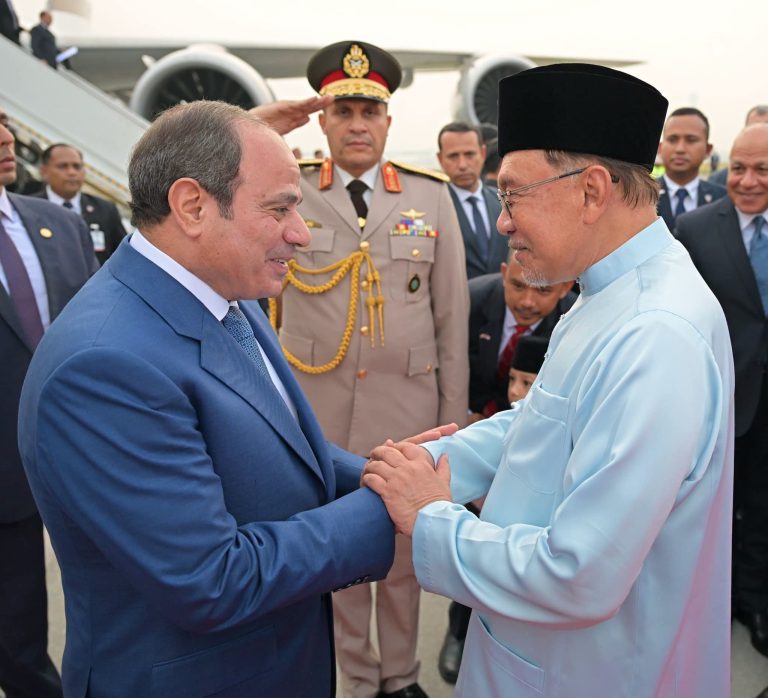 الرئيس السيسى