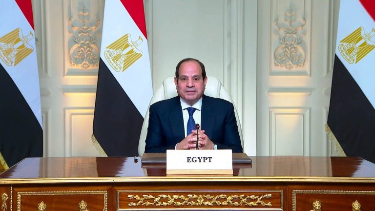 الرئيس عبد الفتاح السيسى
